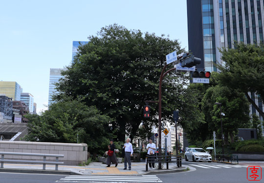 元宮の椋の木