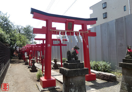 笠森稲荷神社千本鳥居