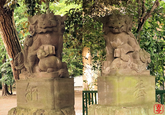 小金井神社狛犬
