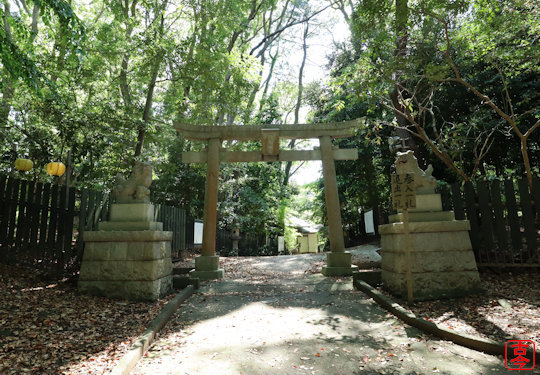 北参道の鳥居