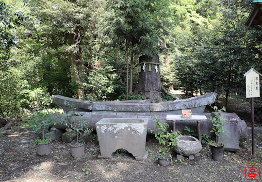 石鳥居と御神木