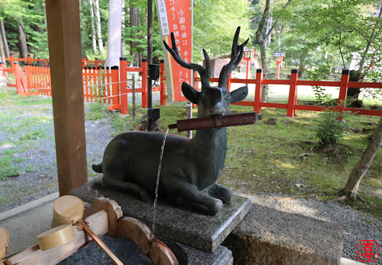 鹿の吐水口