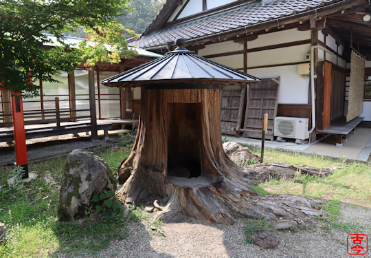 モミの神木跡