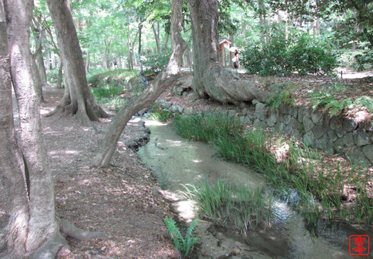 糺の森と瀬見の小川